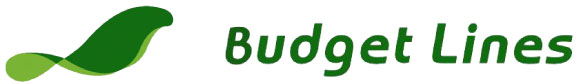 Budget Lines – Air Cargo Logo