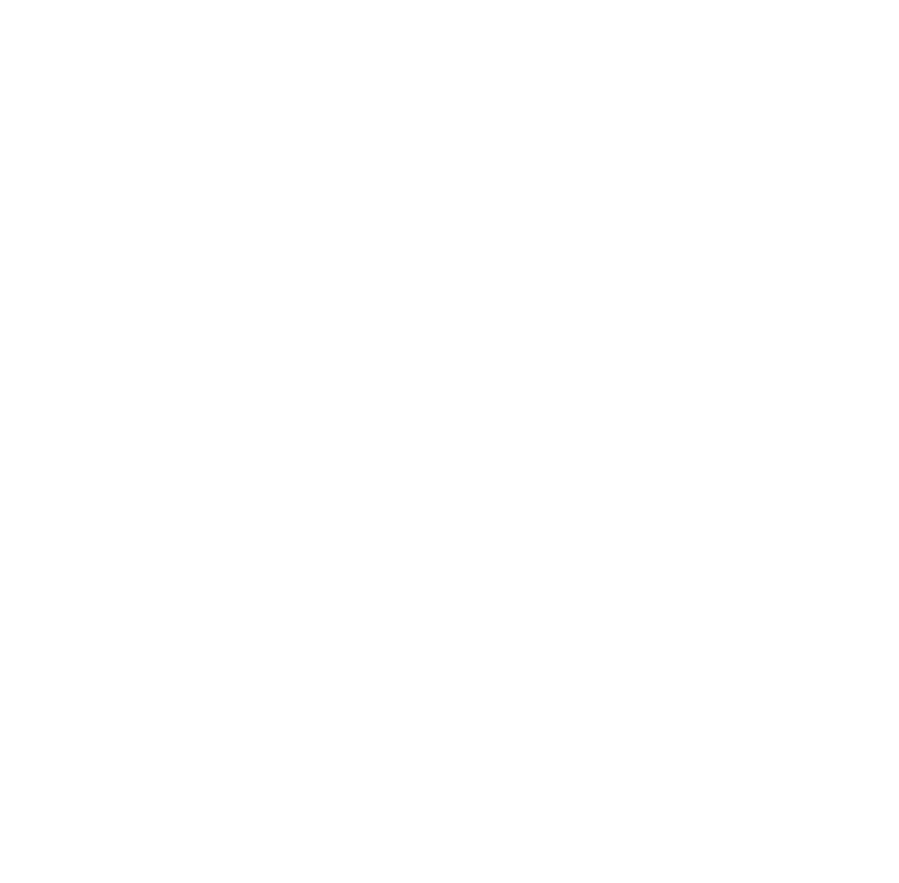 Budget Lines - Air Cargo